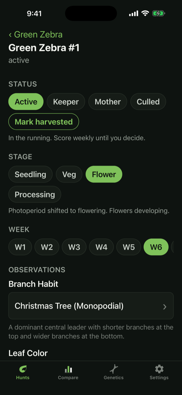 Tapping through scoring fields one-handed in PhenoLog